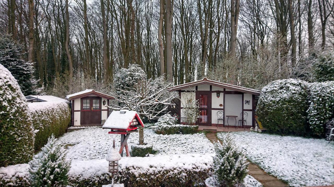 Villa Haus im Grünen Billerbeck Exterior foto